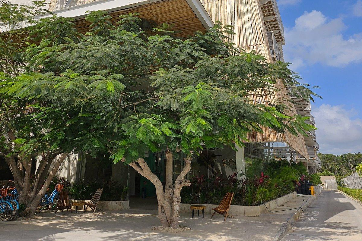 Siente Tulum Hotel Kültér fotó